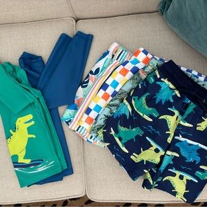 Dinosaur and Patterned Swim Shorts Collection